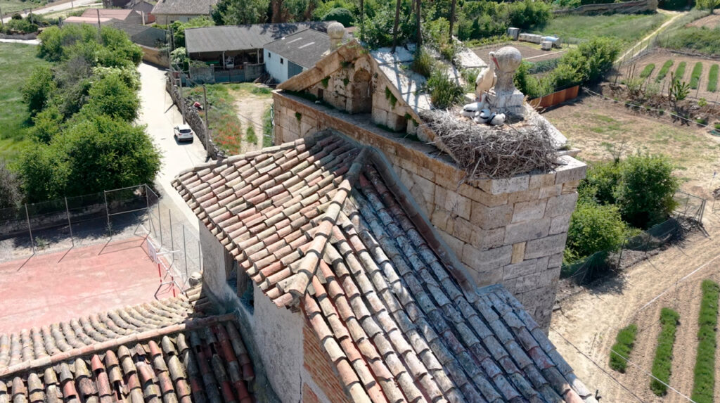 Nido de cigüeña con tres polluelos en la espadaña de la iglesia de San Martín de Tours de Valbuena de Pisuerga